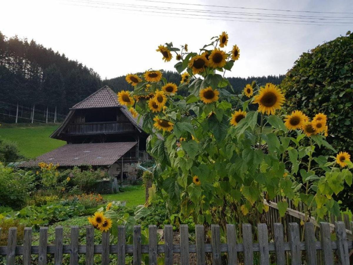 Hotel Walkenstein Oberwolfach Extérieur photo
